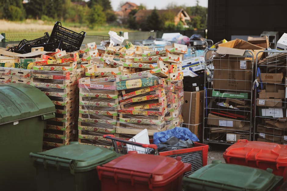 The image displays a large outdoor area filled with various types of rubbish and waste materials, predominantly consisting of stacked cardboard boxes that are glossy and printed with colorful labels, indicating they once contained fresh fruits. These boxes are arranged in a disorganized manner, some leaning on each other, occupying most of the scene and sitting atop a paved surface. To the left, there are several large green and red plastic wheelie bins with closed lids, typical of residential waste collections, along with a smaller black bin, all positioned in the foreground. On the right, there are metal wire cages or shelving units filled with assorted cardboard boxes and packing materials, some open, revealing their contents, while others are sealed or partially covered with brown paper. Scattered items, including a blue plastic bag and a few loose cardboard pieces, are visible among the waste. The background shows a rural setting with a hedge, trees, and a glimpse of houses or farm buildings under soft natural lighting, suggesting a quiet, residential outdoor space possibly used for waste disposal or an on-site clearance. The scene exemplifies a private disposal area aligned with independent rubbish removal practices, highlighting the logistical aspects of waste management services.